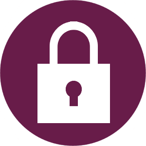 hipaa-security-icon